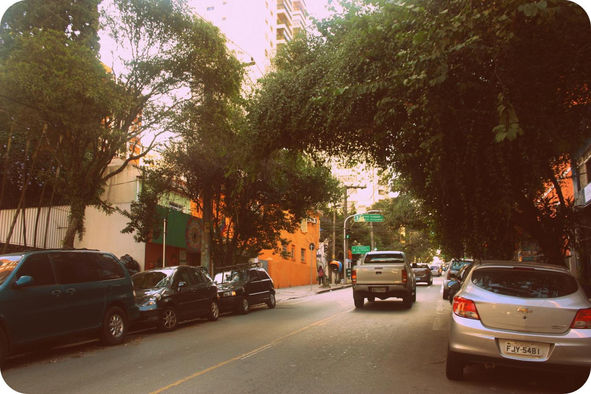 Pousada E Hostel Sao Paulo Comfort - Bairro Pinheiros, Proximo Hospital Das Clinicas E Incor, Oscar Freire, Av Paulista, Allianz, Vila Madalena E Facil Acesso Ao Ibirapuera E Morumbi エクステリア 写真